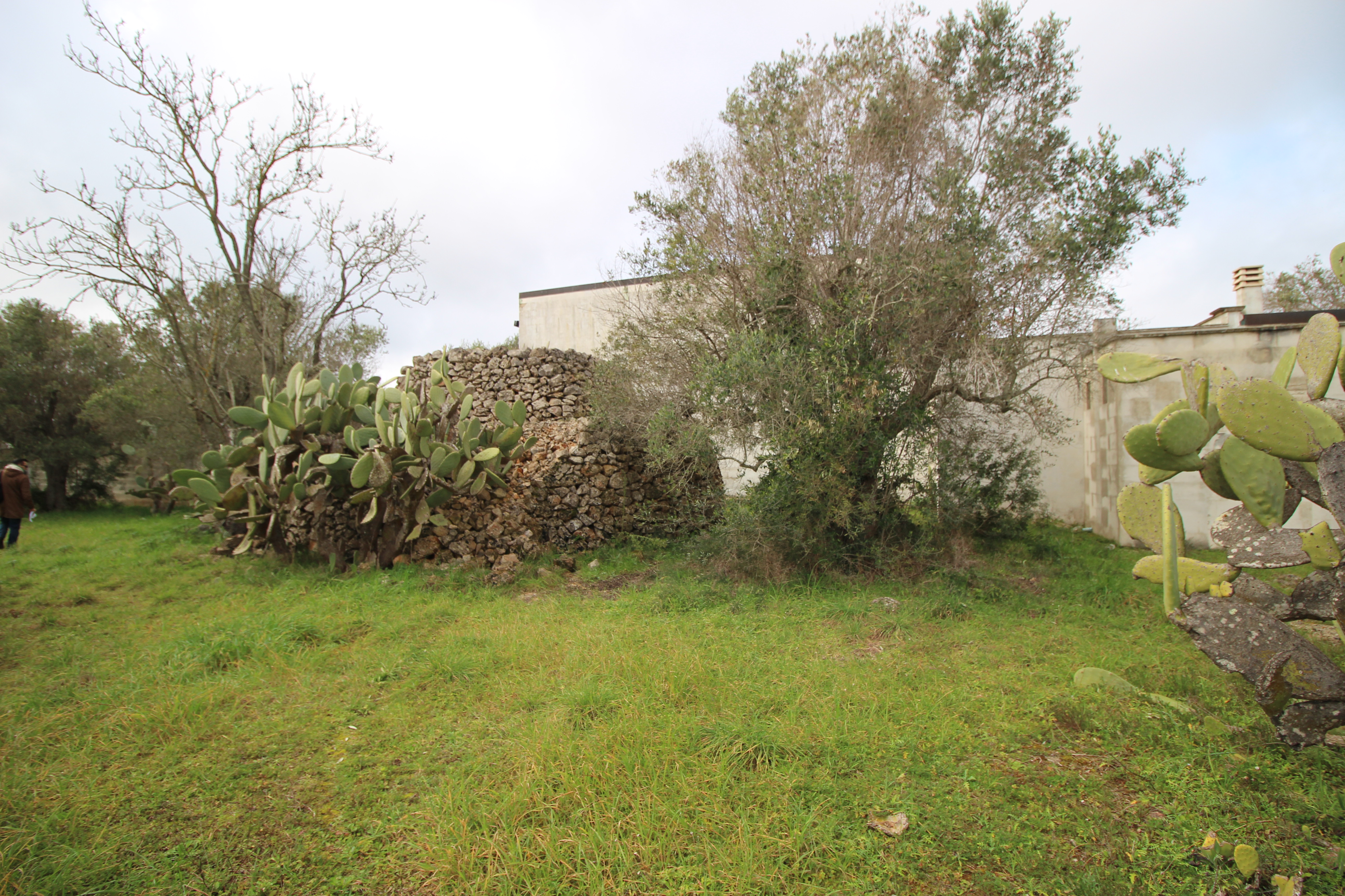 TERRENO CIRCOSTANTE