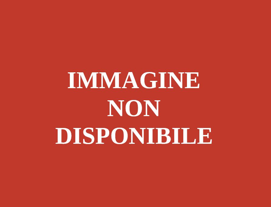 IMMAGINE NON DISPONIBILE