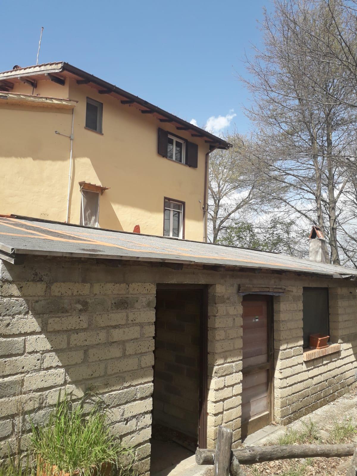 foto prevalente