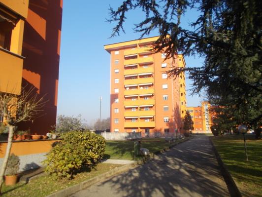 foto prevalente